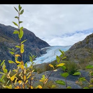 Meet your Posher, Bernadette